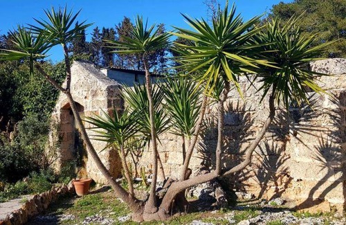 Ugento Bed & Breakfast | Cozy Bed and Breakfast with Pool & Pet-Friendly Amenities