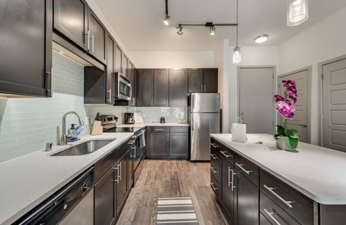 Dallas-Fort Worth Metroplex DFW Apartment | Discover PL081: Cozy 1BD Apt with Pool & Spa in Plano