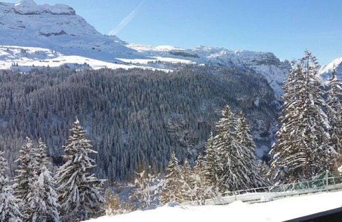 Flaine Apartment | Cozy 3rd Floor Retreat in Flaine with Balcony & Spa