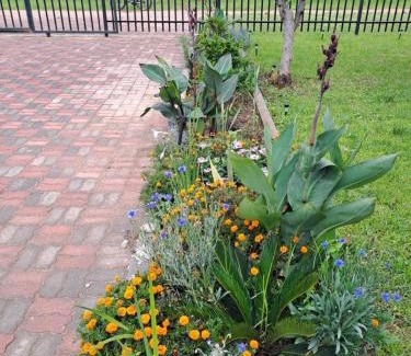 Harare House | 2Bed-4Guests-Garden-NearCentre&Attractions