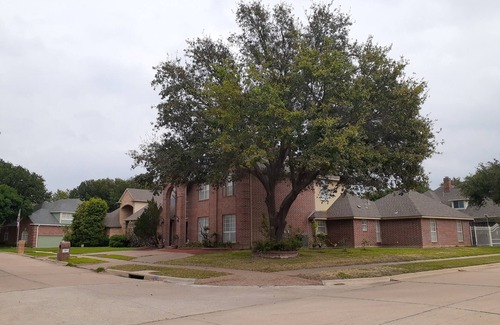 North Arlington Apartment | 2bedroom apartment in fantastic Arlington with AC,WiFi, fitness room ,no kitchen