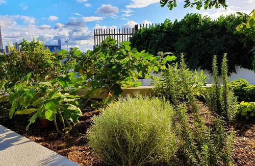 Newstead Apartment | Inviting 2BR Oasis with Pool, Rooftop & Gym Awaits You