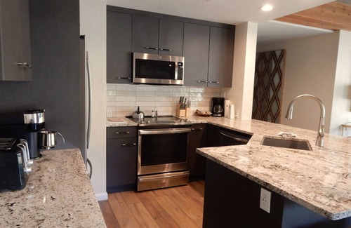 Crested Butte Condo | Inviting 2BR Residence with Spa and Hot Tub by RedAwning