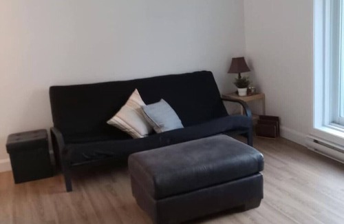 Les Rivieres Apartment | 3,5 rénove avec cour anglaise