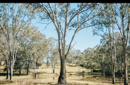 Taromeo Cottage | 3 bed cottage nestled at the centre of 18