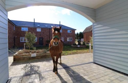 Newport House | Family-Friendly 3-Bedroom Hotel in Newport - Pet Approved