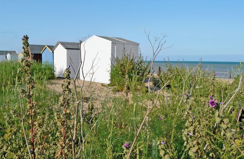 Deal Cottage | Pet-Friendly 3 Bedroom Stay in Kingsdown, Oceanfront View