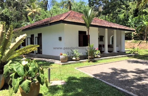 Bandaranayake Villa | Discover a Colonial Villa with Infinity Pool & Beautiful Garden