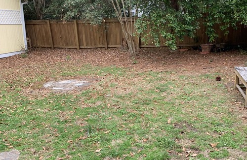 Wilmington Cottage | Cozy 3 Bedroom Cottage with Hot Tub Near Beach & UNCW