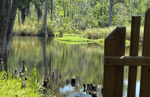 Havelock House | 3-bedroom creekside cabin in charming Havelock with kayak and paddleboards.