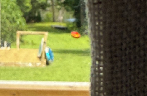 Havelock House | 3-bedroom creekside cabin in charming Havelock with kayak and paddleboards.