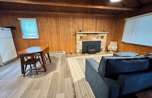 Levering Cabin | 3-bedroom Douglas Lake waterfront cabin in amazing Levering with WiFi, window AC