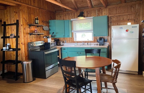 Levering Cabin | 3-bedroom Douglas Lake waterfront cabin in amazing Levering with WiFi, window AC