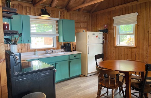 Levering Cabin | 3-bedroom Douglas Lake waterfront cabin in amazing Levering with WiFi, window AC