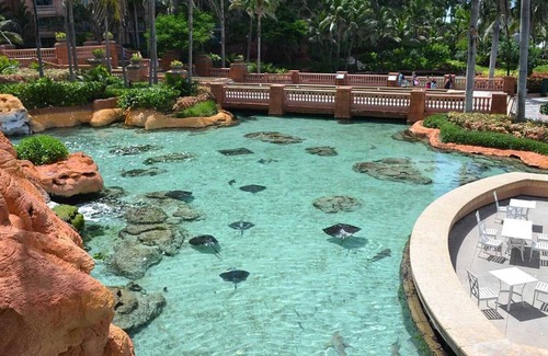 Paradise Island Resort | Premium 3 Bedroom Suite at Harborside Resort - Family Friendly