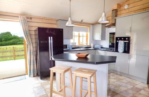 Llanbrynmair Cabin | Unforgettable Deer Log Cabin in Mid Wales with Hot Tub