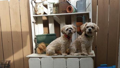 Albrightsville House | Relax and Unwind at Our Pet-Friendly Lake Retreat