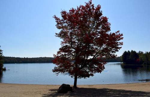 Bracebridge House | Inviting 3 Bedroom Waterview Cottage on Monarch Blvd