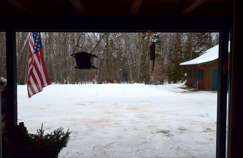 Pittsburg Cabin | Private Retreat with ATV & Snowmobile Access: 10/10 Rating