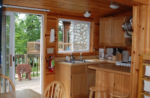 Nevis Cabin | Inviting 3 BR Cabin by Lake with Pet-Friendly Amenities
