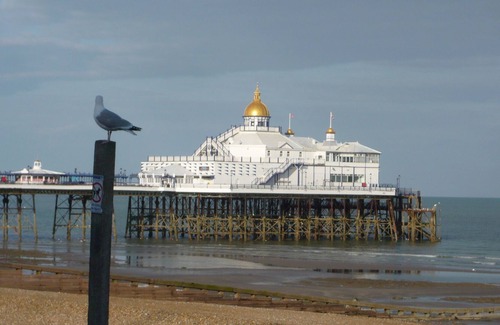 Eastbourne House | 3 BR house recently refurbished close to all the best attractions of Eastbourne