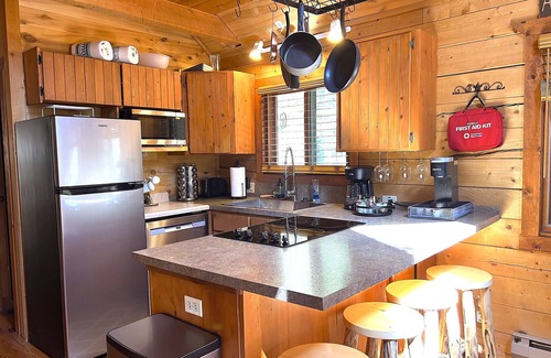 Saint Mary's House | Guest Rated 10/10: 3 BR Mountain Log Cabin at St. Mary's Glacier
