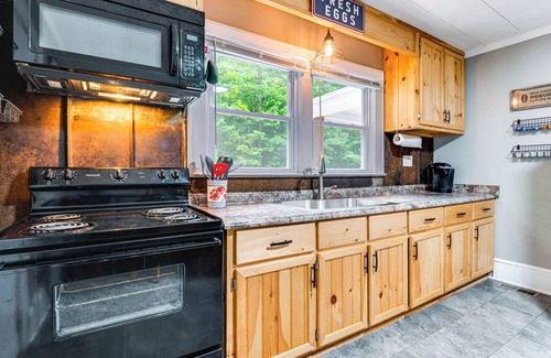 Forest City House | Cozy Forest City Retreat with Fire Pit, Near Downtown!