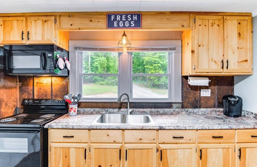 Forest City House | Cozy Forest City Retreat with Fire Pit, Near Downtown!