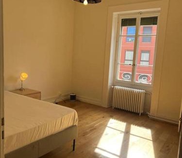 Les Eaux-Vives Apartment | 3 pcs located in GVA centre
