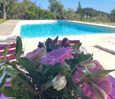 Le Plan-de-Grasse Apartment | Charming 3-Room Retreat in Grasse with Pool Access