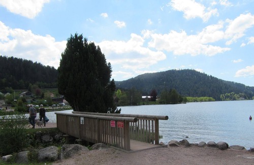 Le Tholy Apartment | 3-star apartment "les balcons de la chalande" le Tholy - Gérardmer