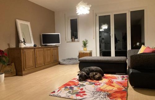 Schliengen Apartment | Pet-Friendly 3-Zi Wohnung in Markgräflerland Dreiländereck