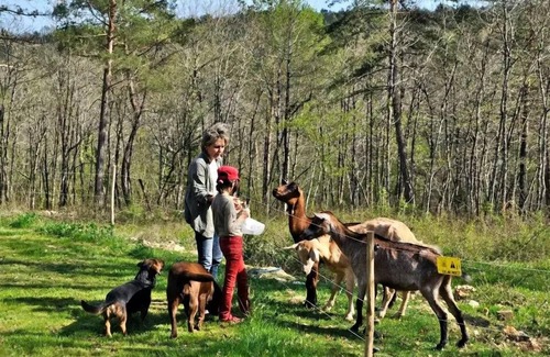 Sorges-et-Ligueux-en-Perigord Villa | Discover Domaine des Bories: Cozy 3-Room House for Families