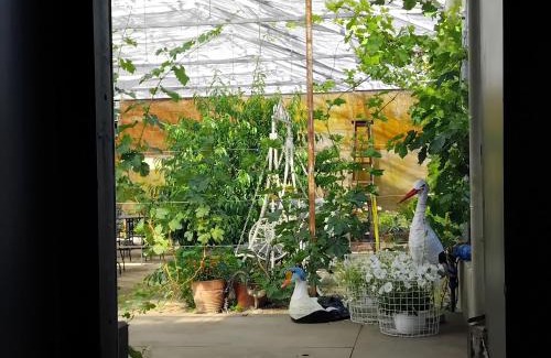 Pargas Other | Spacious 300m2 Greenhouse: Pet & Child Friendly Retreat