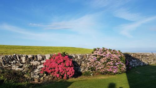 Newton Stewart House | Pet Friendly Retreat at 31 Laigh Isle - Rated 9.2/10