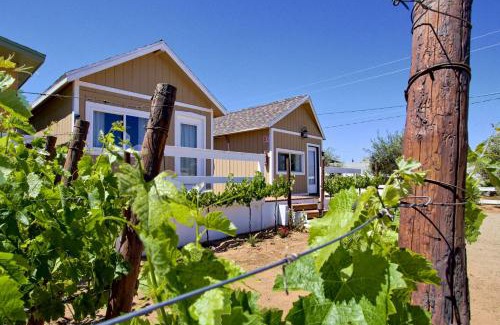 Valle de Guadalupe Hotel | Top-Rated 3333 Luz Del Valle Boutique Hotel - Pet Friendly Stay