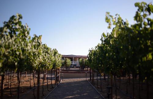Valle de Guadalupe Hotel | Top-Rated 3333 Luz Del Valle Boutique Hotel - Pet Friendly Stay
