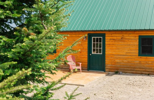 Columbia Falls Cabin | Experience Flagpole View Cabins: King Cabin for Family Fun