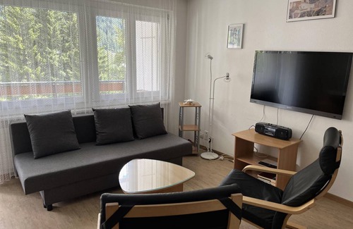 Leukerbad Apartment | Pet-Friendly Majesta Leukerbad Apartment with Kitchen Access