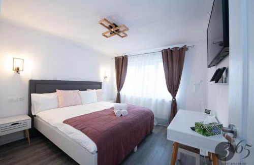 Hunedoara Apartment | Exceptional 365 Guest Apartment: Family-Friendly Retreat