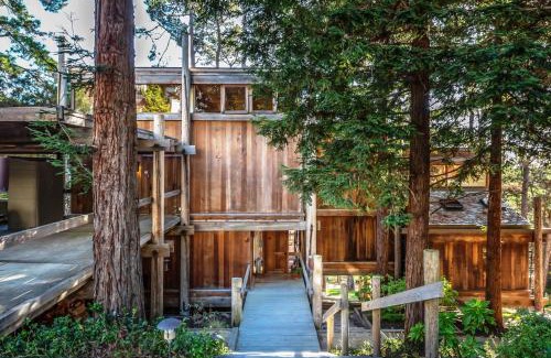 Del Monte Forest House | Discover 3771 Serenity in the Woods: Pet-Friendly Retreat