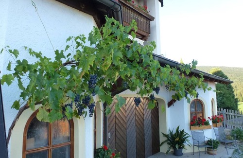 Rimbach Apartment | Cozy 39qm Apartment for Two with Covered Terrace