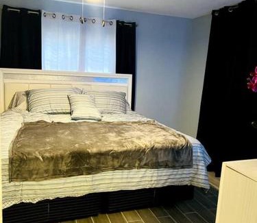 Pine Hills House | Modern 3-Bedroom Home with Family & Pet-Friendly Perks