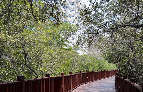 Urb Plenomar Apartment | 3BR Ocean View Apartment Pozos Colorado