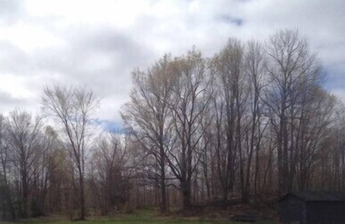 Central Frontenac Cottage | 4 Acres On The Lake - Sharbot Lake, Ontario