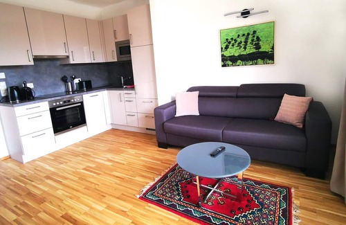 Neusiedl am See Apartment | Comfortable 1-Bedroom Pannonia Appartements with Kitchen