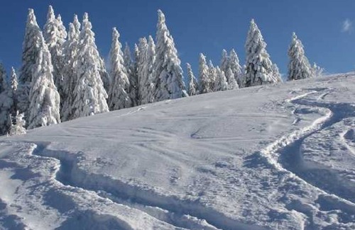 Schoenmuenzach Cottage | Escape to Pension Oesterle in the Black Forest