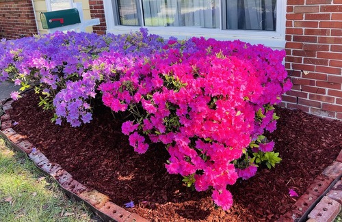 Norfolk - Virginia Beach House | 4 Bedroom for 10 guest Home in Norfolk