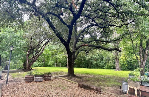 Landon Branch Apartment | Cozy Studio Retreat 4 Miles from Downtown with Spa Amenities