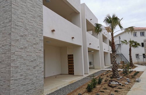 Bravone Apartment | Beachfront 4-Person Apartment with Ocean View & Pool